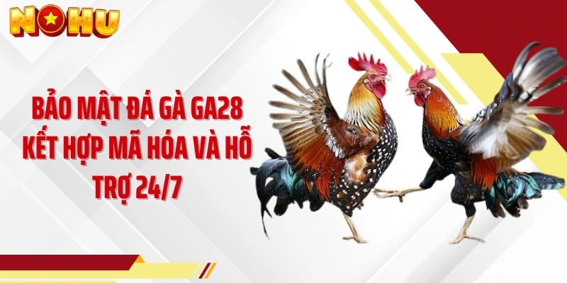 Bảo mật Đá gà GA28 kết hợp mã hóa và hỗ trợ 24/7