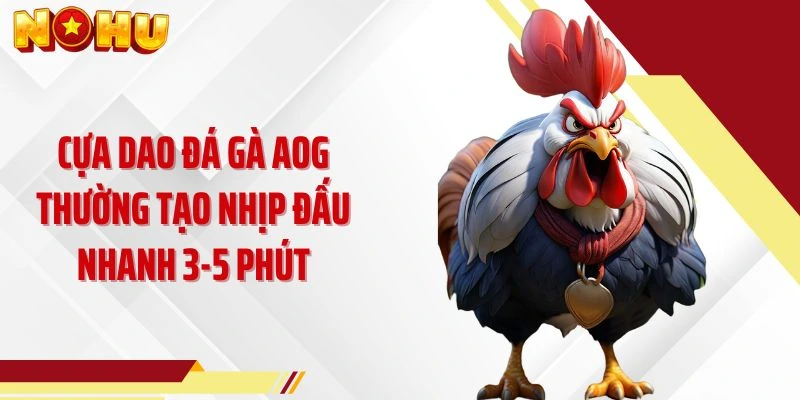 Cựa dao đá gà AOG thường tạo nhịp đấu nhanh 3-5 phút