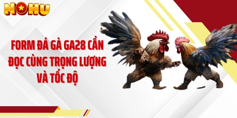 Form Đá gà GA28 cần đọc cùng trọng lượng và tốc độ