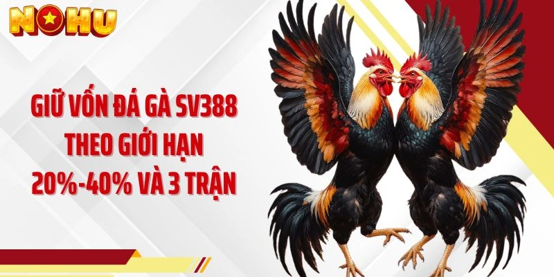 Giữ vốn đá gà SV388 theo giới hạn 20%-40% và 3 trận