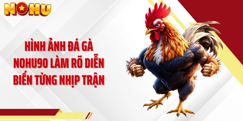 Hình ảnh đá gà NOHU90 làm rõ diễn biến từng nhịp trận