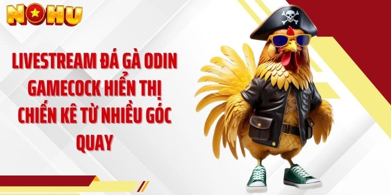 Livestream đá gà ODIN Gamecock hiển thị chiến kê từ nhiều góc quay