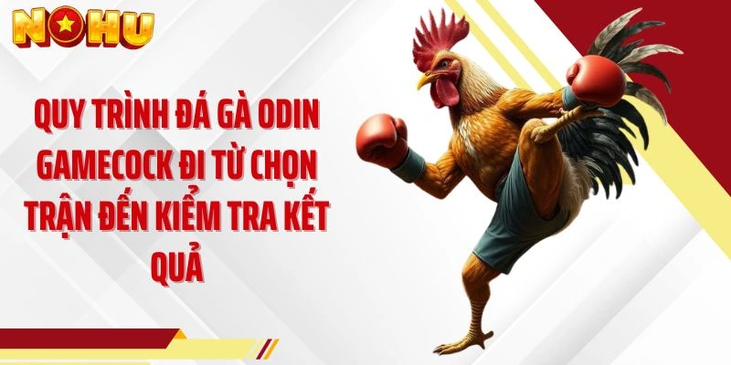 Quy trình đá gà ODIN Gamecock đi từ chọn trận đến kiểm tra kết quả